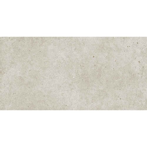 ΠΛΑΚΑΚΙ SOUL WHITE R10 60X120cm