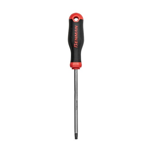 BENMAN ΚΑΤΣΑΒΙΔΙ TORX 20 x 100 mm