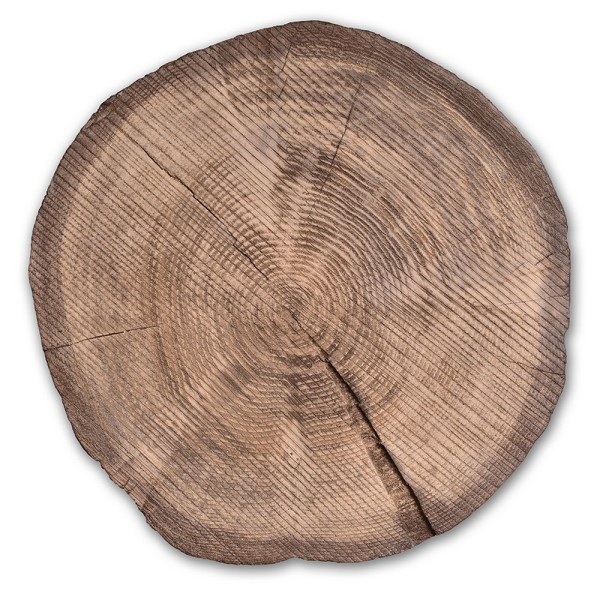 FOREST WHISPER ΠΕΤΡΑ ΜΕ ΟΨΗ ΞΥΛΟΥ Φ55