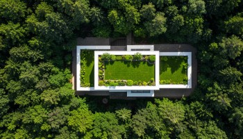 ΠΡΑΣΙΝΑ ΔΩΜΑΤΑ: Η «Ζωντανή» Επένδυση της Οικοδομής