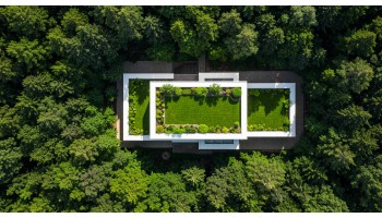 ΠΡΑΣΙΝΑ ΔΩΜΑΤΑ: Η «Ζωντανή» Επένδυση της Οικοδομής